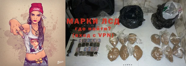 гашик Дмитриев