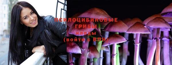гашик Дмитриев