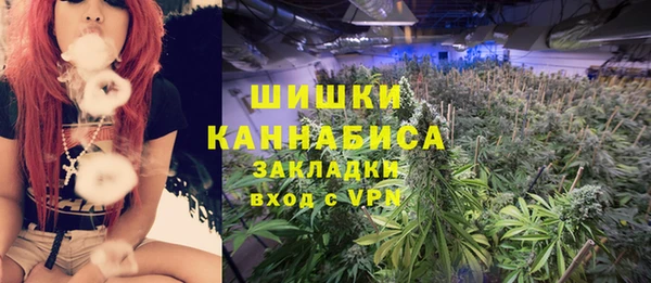 альфа пвп Гусиноозёрск