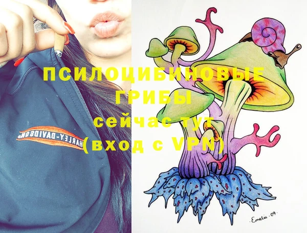 молекула духа Гусев