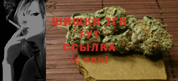 гашик Дмитриев
