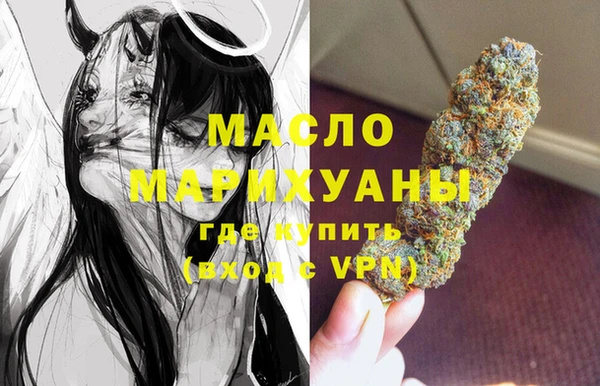 молекула духа Гусев