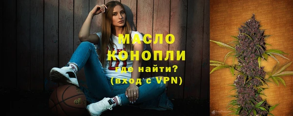 молекула духа Гусев